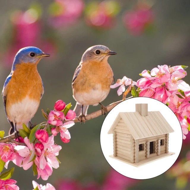 Casa para pájaros de madera decorativa casa para pájaros pájaros de madera decoración