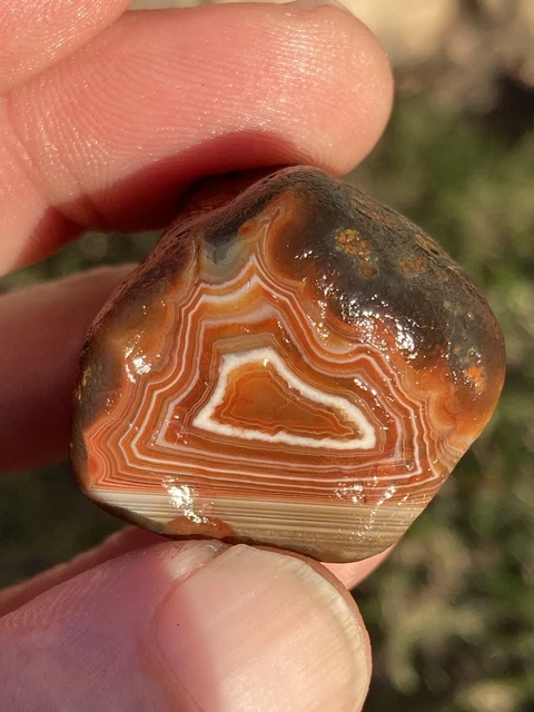 Lake Superior Agate 1.02oz Crazy Color Two Face!