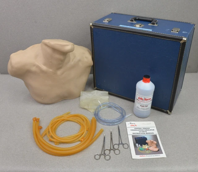 NASCO Life Forms Central Venous Cannulation Simulator LF01087U