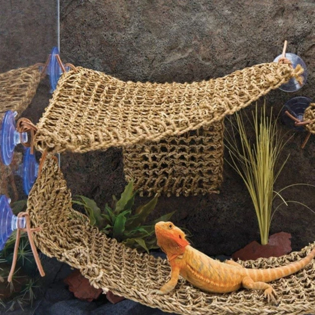 Reptile Hammock Hanging Swing Lizard Bearded Basking Platform Lounger Dragon
