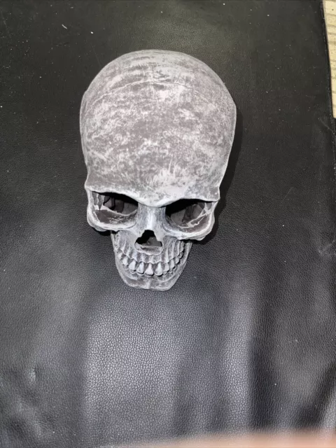 Scale Custom Highly Realistic SKULL numbered # 060HFW10 rare Halloween