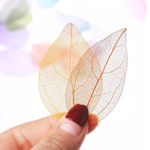 Bookmarks DIY Nail Art Natural Leaves 20Pcs Dried Flowers Handmade Material