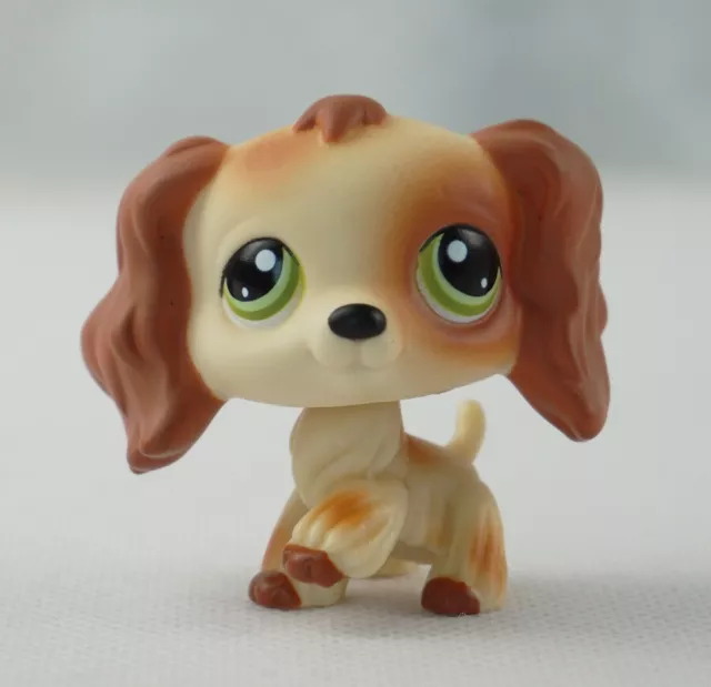 Littlest Pet Shop LPS Brown Tan Cocker Spaniels Dog Green Eyes Edition Girl