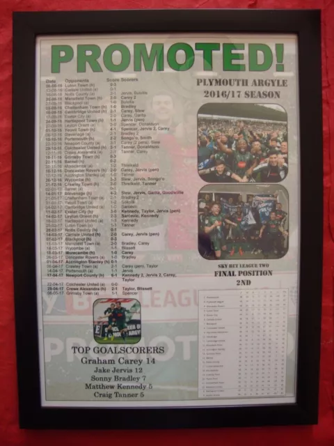 Plymouth Argyle League Two runners-up 2017 - framed print