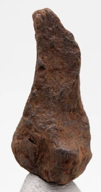 Raro Gibeon Ferro Meteorite Fragment Completo Singole Esemplare Namibia