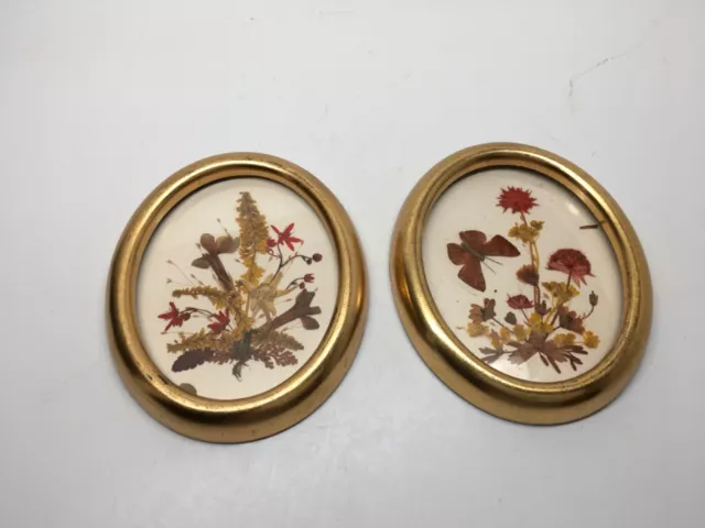 Beautiful Dried Pressed Flower Wall Art Golden Wood Frame Signed