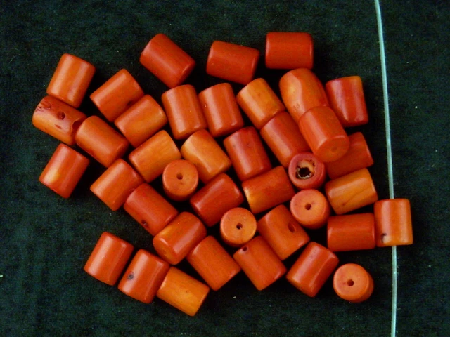 40 Pics Lovely Rare Chinese Orange Coral Beads RR019