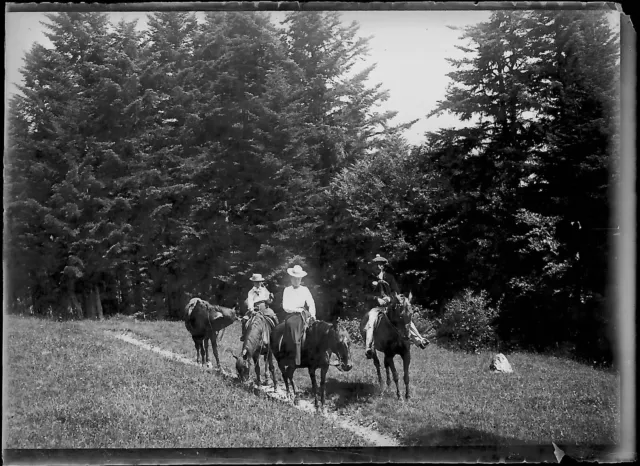 6x9cm Black & White Negative Photo Glass Plate Mountain Horse Luchon Walk
