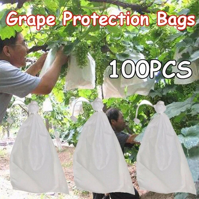 Lot De 100 Sacs Raschel Avec Cordon - Pour Fruits, Légumes, Pommes De Terre Ou Bois De Chauffage (41x63 Cm)