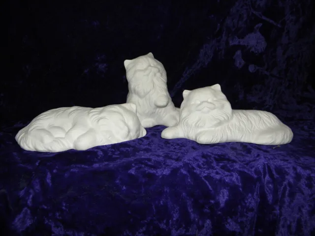 Ready to Paint Ceramic Bisque - Persian Kittens choice of 3