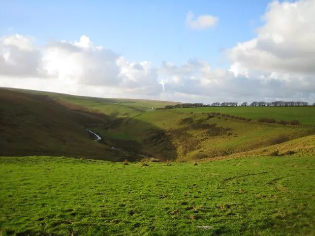 Photo 6x4 Barle Valley Simonsbath Looking West up the Barle valley from t c2006