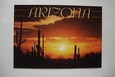 Railfans2 405) Postcard, The Saguaro Cactus Blossom Is The Arizona State Flower