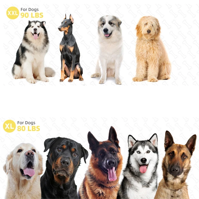 Super Soft Small Medium Large Jumbo Dog Bed Orthopedic Memory Foam Pet Mattress 10