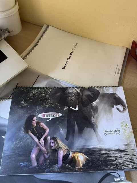 Peter Beard カレンダーPirelli 2009 Peter Beard (American, b.1938) Pirelli 2009 Calendar for sale at