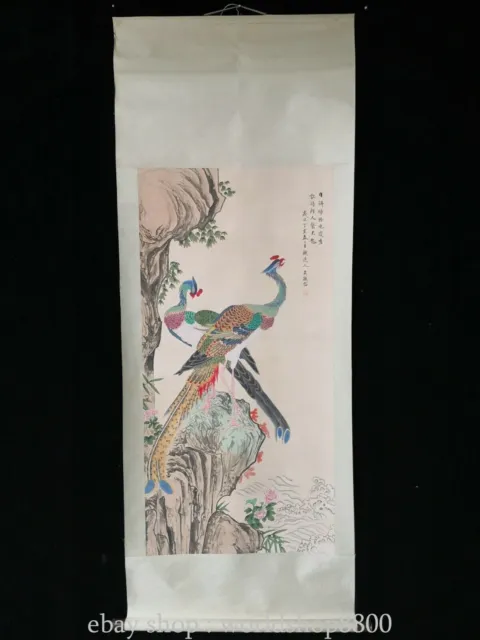 81.2"Chinese rice paper Peacock landscape painting Hand drawing scroll picture