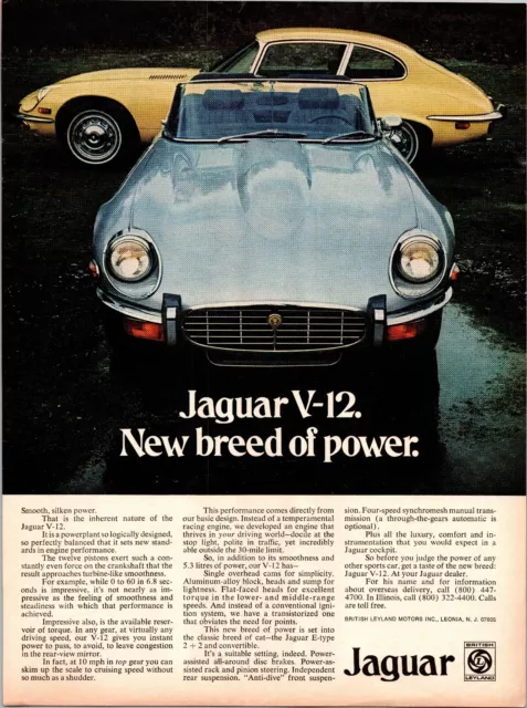 1973 Jaguar V-12 XKE XK-E Roadster & Coupe "New Breed" Original Color Ad