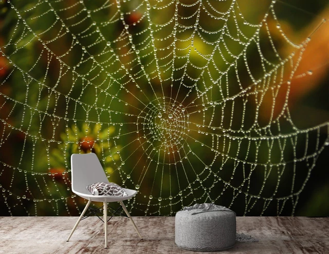 3D SPIDER WEB E1930 Wallpaper Mural Paper Wall Print Indoor Murals CA ...