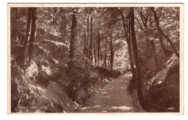 Surrey Carte Postale - Sandy Lane , Oxted - P/U 1937 (A351)