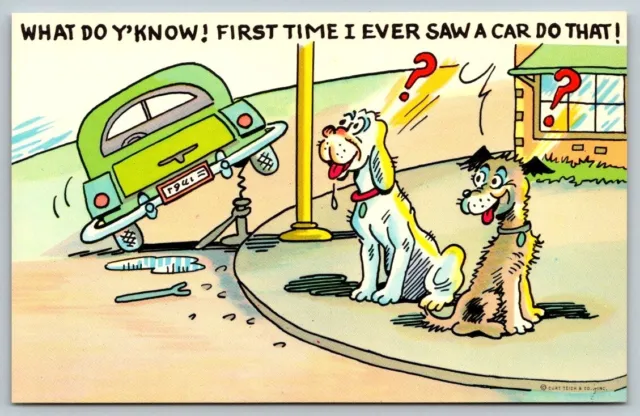 Vintage Cartoon Humor Postcard - First Time I Saw a Car Do That