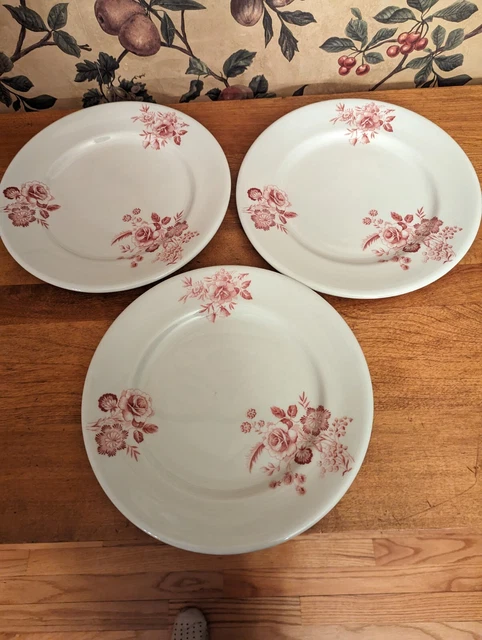 3-Vintage Shenango Sho24 Dinner Plates Restaurant China-(9-1/2")Pink Flowers