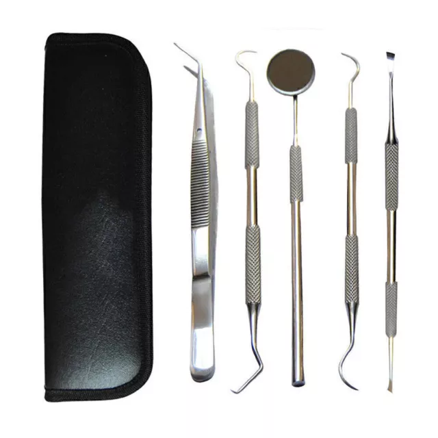 Kit profesional de higiene dental oral 5 herramientas escalador de dientes kit de cuidado dental