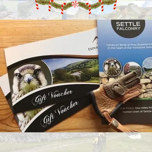 UK Falconry Gift Voucher Day Experience Perfect Christmas Present Kids Boys Girl