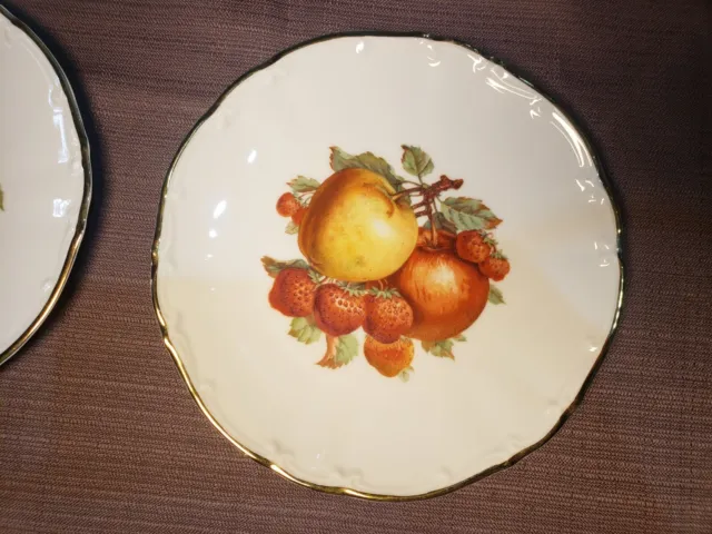 6 Bareuther Waldsassen Bavaria Germany MCM 7.75" Fruit Theme Lunch Plates Set #2 2