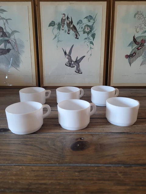 6 Tasses à Café Expresso GERIKO - Bistrot Vintage Art Déco Arcopal France - Marron