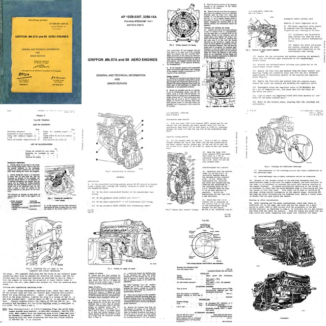 FileRRGriffonMAMJPG  Wikimedia Commons