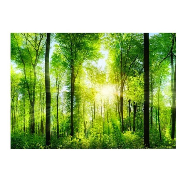 3D Forest Adhesive Poster - Aquarium Fish Tank Decor 61x41cm