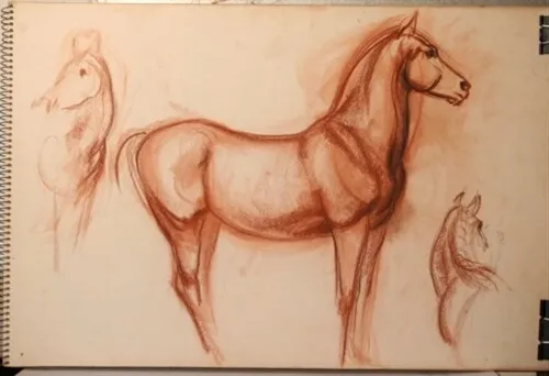#1 Maureen Love Original Sketches Multiple Views of Horses