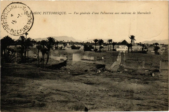 CPA AK Marrakech Env. De Marrakech Vue Generale d'une Palmeraie MAROC (963640)