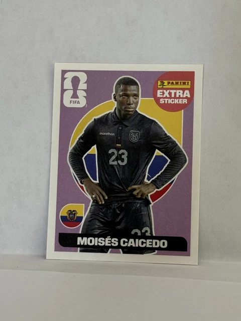 PANINI WORLD CUP 2026 Extra Sticker Moises Caicedo Regular £6.52 ...