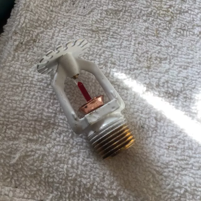 Tyco Ty2234 155°Fquick Response White Polyester Residential Sprinkler Head K4.9