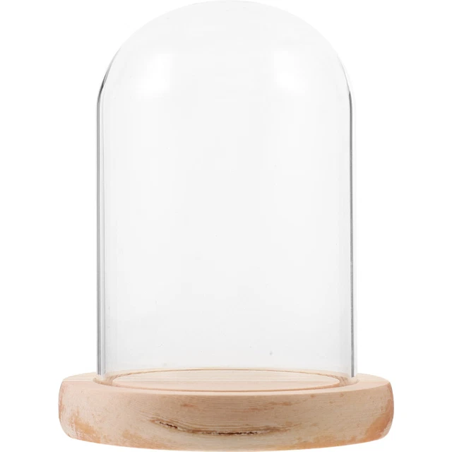 Cambro Camwear Displayabdeckung – Kuppelform, 30,5 X 50,8 Cm, Unzerbrechlich Für Gebäck & Desserts