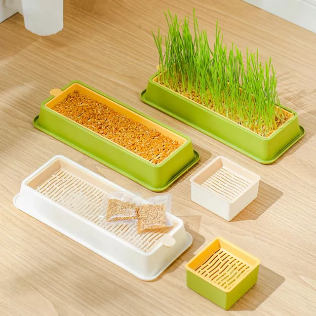 Square Cat Grass Planting Box Cat Grass Growing Kit Soilless Hydroponic Planter