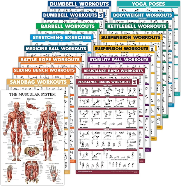 17 Pack Exercise Workout Poster Set Dumbbell Suspension Kettlebell Medicine