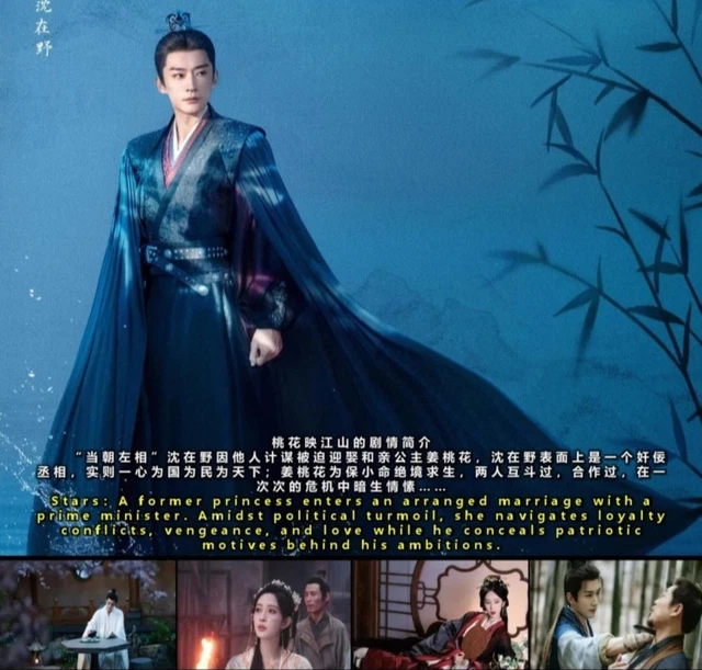THE PRINCESS'S GAMBIT 2025 Chinese Drama Series DVD All Region English ...