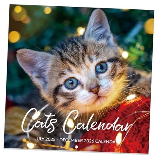 20252026 CALENDAR Wall Calendar 20252026, Jul. 2025 Dec. 2026