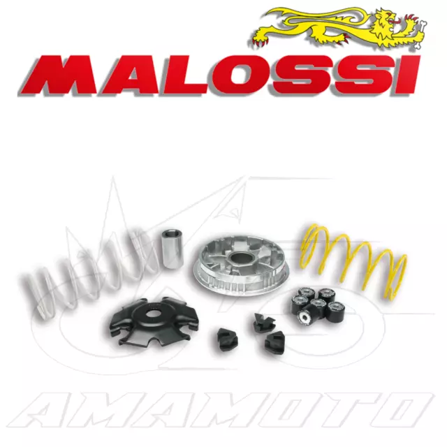 Malossi 5116674 Variatore Multivar 2000 Piaggio Vespa Primavera 125 Ie 4T 2014>