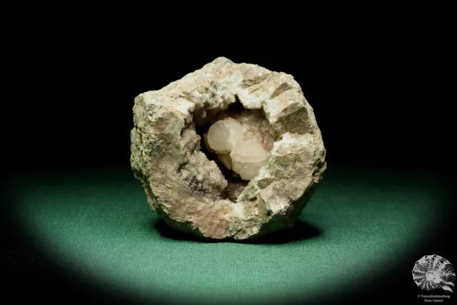 Quarz XX & Hämatit Deutschland Sammlung Druse Mineral Stufe Kristall Deko deco