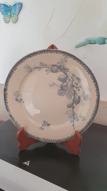 Ancienne  assiette  plate decor floral  24cm  signée  le bourgeois  Paris
