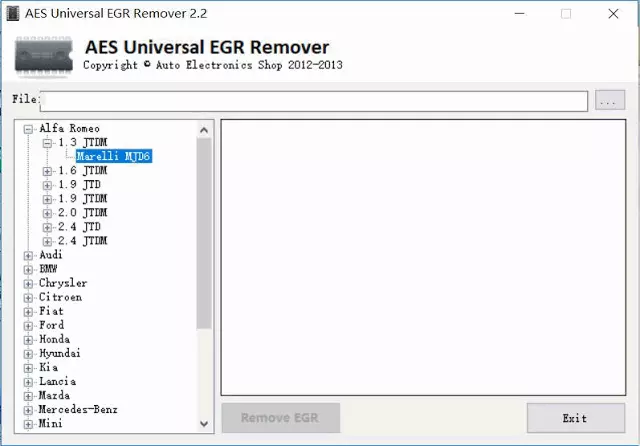 AES EGR Remover 2.2 Software FULL VERSION + Licence