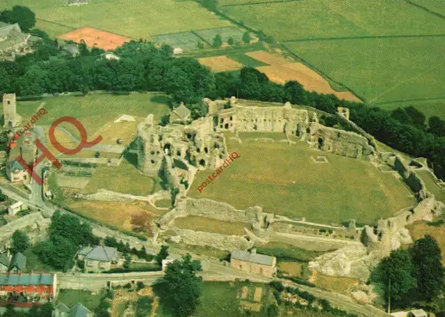 Picture Postcard-:Denbigh Castle, Clwyd, Air View from South-West