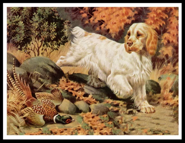 Clumber Spaniel & Pheasant Vintage Style Dog Art Print Poster