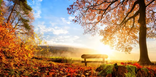 Magnettafel Pinnwand Bild XXL Panorama Herbst Bank Ruhesitz