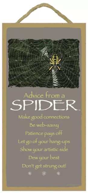 Advice from a Spider Inspirational Wood Nature Insect Sign Plaque Made in USA