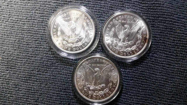 1921 -P Morgans Lot Of 3 High Grade Morgan Lot 1921 -P Morgans Lot Of 3 High Grade Morgan Lot