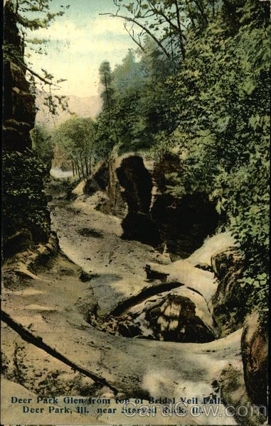 1909 Deer Park Glen From Top of Bridal Veil Falls,IL Cook,Lake County Illinois