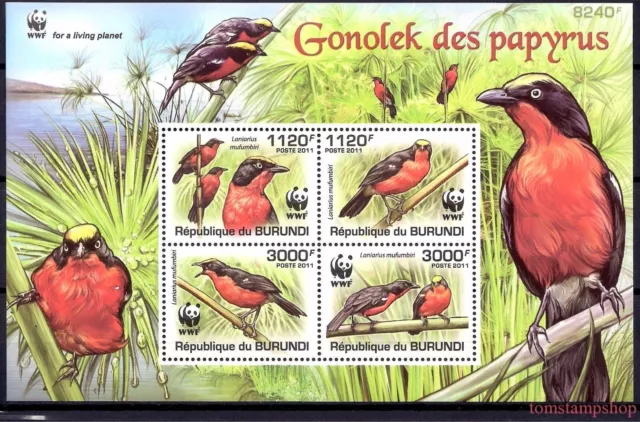 Burundi 2011 WWF Birds Songbirds Papyrus gonolek Wildlife Nature m/s MNH